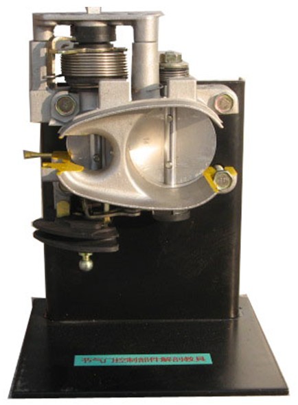 �����T����Ԫ������ģ��